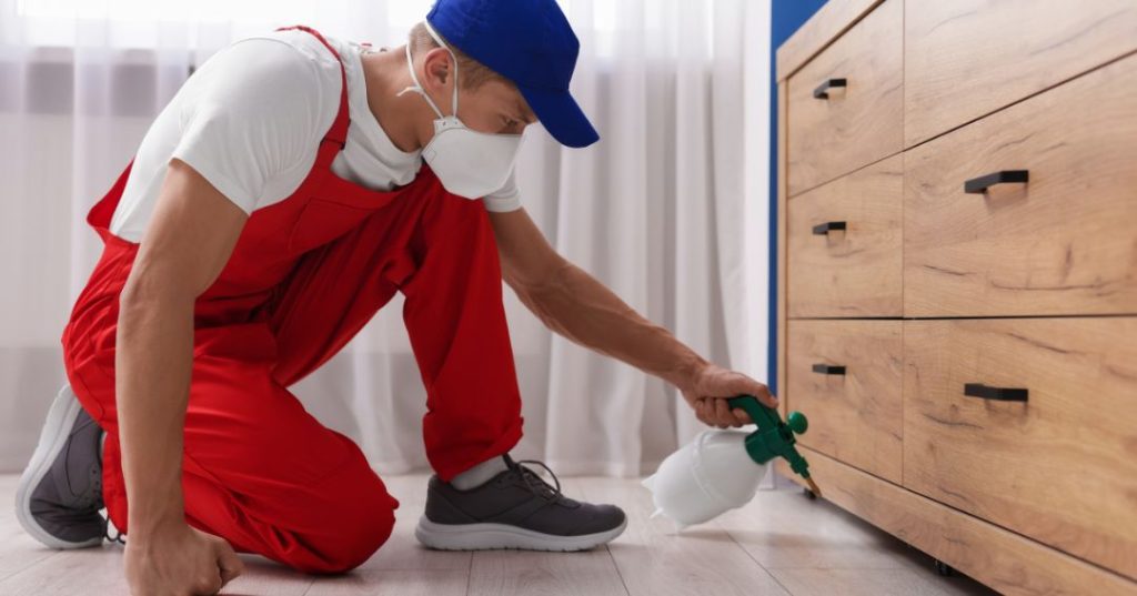 capa dedetizacao em Santa Maria