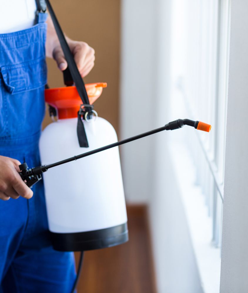 dedetizador em Santa Maria